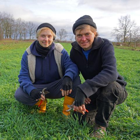 Bild von zwei Gemüsebäuer*innen, die die Flächenplattform nutzen
