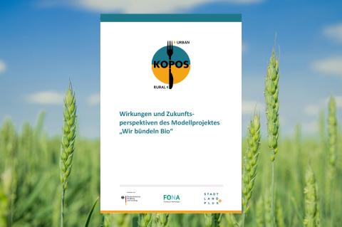 Bild des PDFs der Wirkungsanalyse DES KOPOS-Projekts für Freiburg